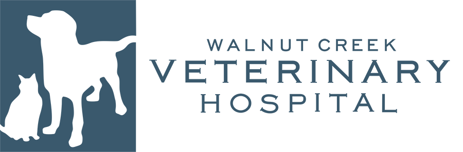 Walnut Creek Veterinary Hospital Home